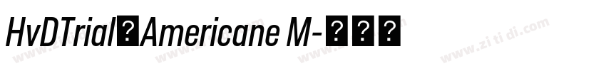 HvDTrial_Americane M字体转换 HvDTrial_Americane M字体转换